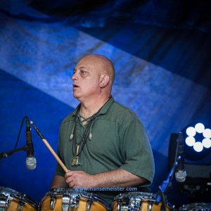 MPS_BueBu_I_2019-554 MPS_BueBu_I_2019-554