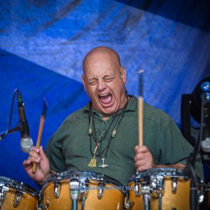 MPS_BueBu_I_2019-565 MPS_BueBu_I_2019-565