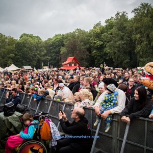 MPS_BueBu_I_2019-750 MPS_BueBu_I_2019-750