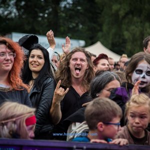 MPS_BueBu_I_2019-806 MPS_BueBu_I_2019-806