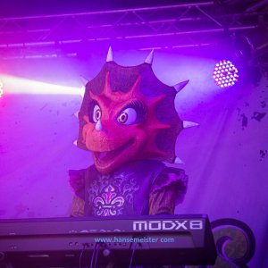 MPS_BueBu_I_2019-823 MPS_BueBu_I_2019-823