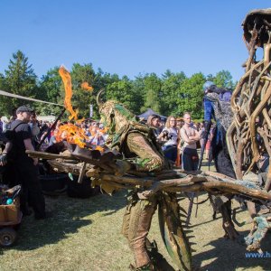 MPS-Hohenweststedt_2018_959_