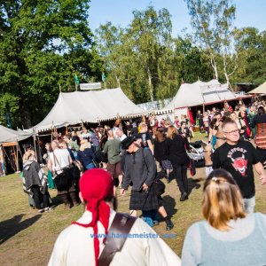 MPS-Luhmuehlen-2019-1243 MPS-Luhmuehlen-2019-1243