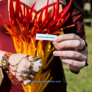 MPS-Luhmuehlen-2019-205 MPS-Luhmuehlen-2019-205