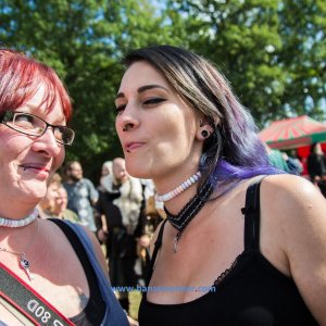 MPS-Luhmuehlen-2019-448 MPS-Luhmuehlen-2019-448