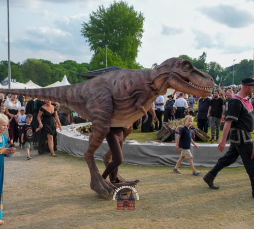 MPS-Rastede-Samstag-Michael-Meister-2025-1524