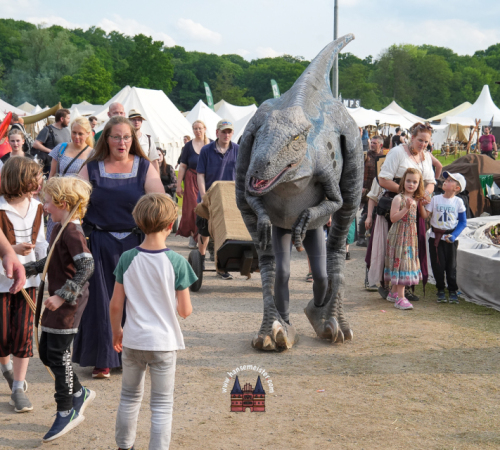 MPS-Rastede-Samstag-Michael-Meister-2025-1527