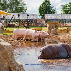 Mittelalterlich-Phantasie-Spectaculum-1-Skulpturenpark-Sa-2020-543