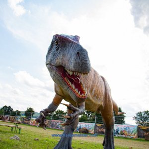 Mittelalterlich-Phantasie-Spectaculum-1-Skulpturenpark-Sa-2020-552