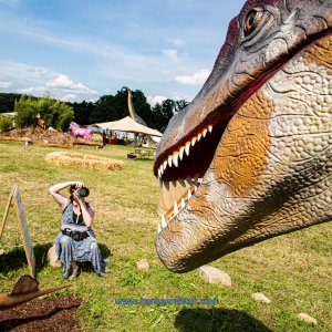 Mittelalterlich-Phantasie-Spectaculum-1-Skulpturenpark-Sa-2020-562