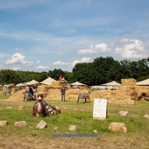 Mittelalterlich-Phantasie-Spectaculum-1-Skulpturenpark-Sa-2020-569