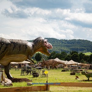Mittelalterlich-Phantasie-Spectaculum-1-Skulpturenpark-Sa-2020-629