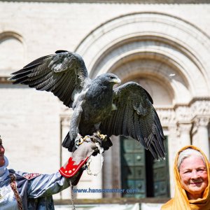 Mittelalterlich-Phantasie-Spectaculum-1-Skulpturenpark-So-2020-43
