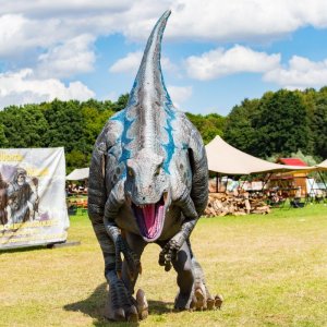 Mittelalterlich-Phantasie-Spectaculum-1-Skulpturenpark-So-2020-479