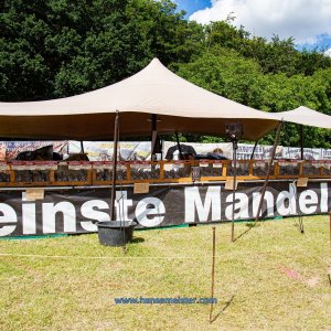 Mittelalterlich-Phantasie-Spectaculum-1-Skulpturenpark-So-2020-679