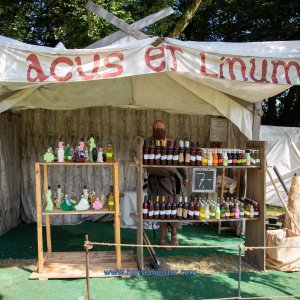 Mittelalterlich-Phantasie-Spectaculum-1-Skulpturenpark-So-2020-88