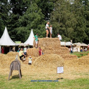 Mittelalterlich-Phantasie-Spectaculum-1-Skulpturenpark-So-2020-983