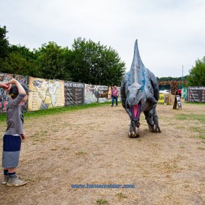 SKP_Buekeburg_01-08-2020-132