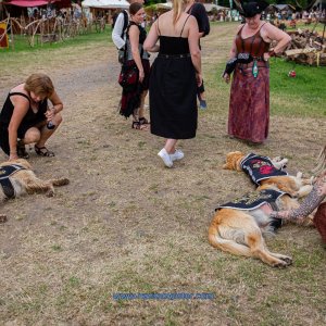 SKP_Buekeburg_01-08-2020-753