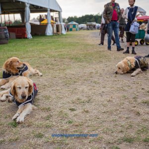 SKP_Buekeburg_01-08-2020-756