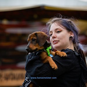 MPS-Skulpturenpark-06-Sep-2020-1182
