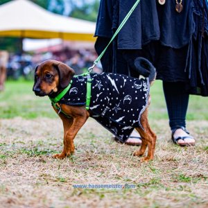 MPS-Skulpturenpark-06-Sep-2020-1206