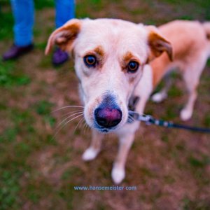 MPS-Skulpturenpark-06-Sep-2020-1608