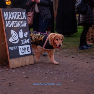 MPS-Skulpturenpark-06-Sep-2020-1722