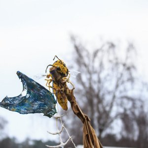 MPS_Luehmuehlen_2018_656_