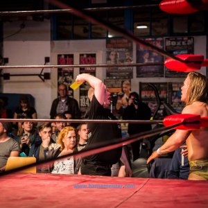 NFC_Wrestling_NCW_WM_im_Schwergewicht_2019-412