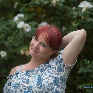 Oldtimertreffen_Freilichtmuseum_Kiekeberg_2018_369_