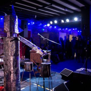 Phoenix_Alternative_Festival_2019-2386