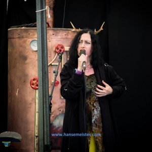 Phoenix_Alternative_Festival_2019-2513