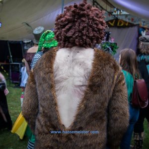 Phoenix_Alternative_Festival_2019-3238