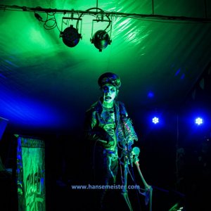 Phoenix_Alternative_Festival_2019-3349