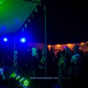 Phoenix_Alternative_Festival_2019-3359
