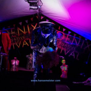 Phoenix_Alternative_Festival_2019-3395