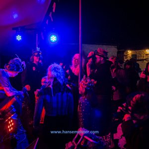 Phoenix_Alternative_Festival_2019-3559