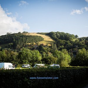 Phoenix_Alternative_Festival_2019-377