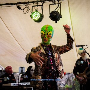Phoenix_Alternative_Festival_2019-763