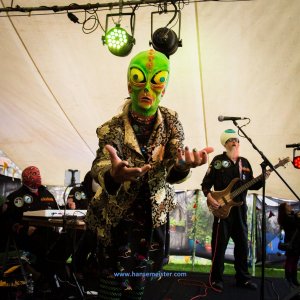 Phoenix_Alternative_Festival_2019-769
