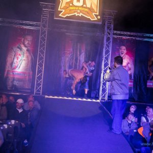 Power_of_WrestlingBremen_Pier_2_2018-602