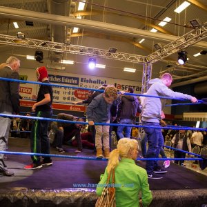 POW_Rostock_November_2018-2416