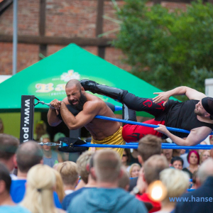 Wrestling-Open-Air-am-Meer-Steinhude-2017_176_