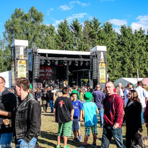 Irish_Folk_Open_Air_Poyenberg_2014_024