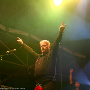 Irish_Folk_Open_Air_Poyenberg_2014_1392