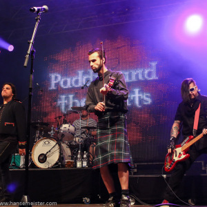 Irish_Folk_Open_Air_Poyenberg_2014_1577