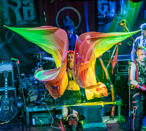 Ragnaroeek-mit-Support-Cultus-Ferox-im-Riders-Cafe-2026-527