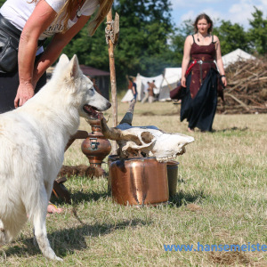 Ruf_der_Ritter_1004