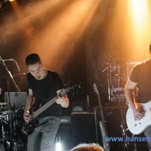 Samsas_Traum_051
